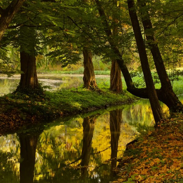 mihaly-koles-spLDRvpViIM-unsplash